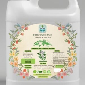 Enzo Pure Erukkanchedi Enzyme